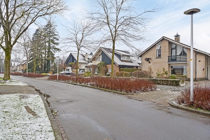 Foto 4 van Theo van Loonstraat 23