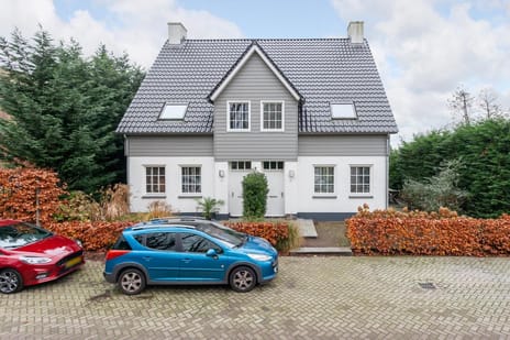 undefined main image