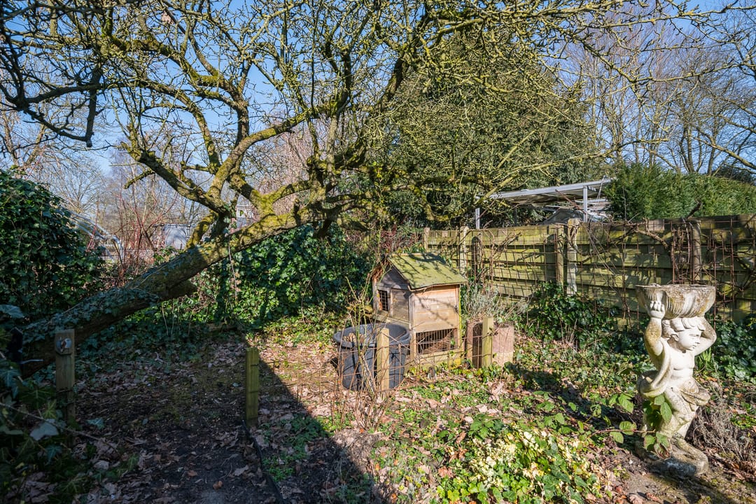 Foto 47 van Leliestraat 24