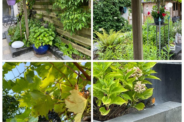 Foto 56 van Monethof 23