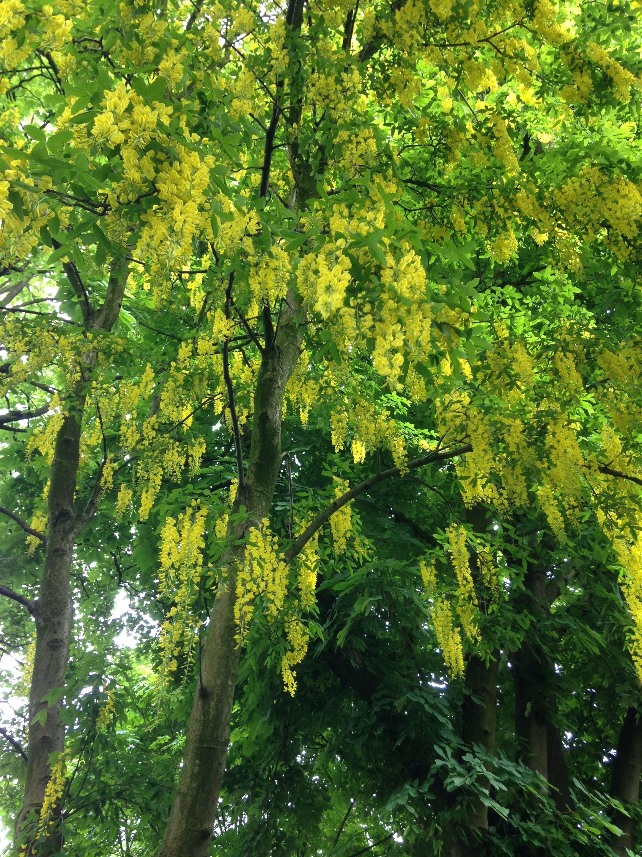 Foto 27 van Prinsengracht 407-A