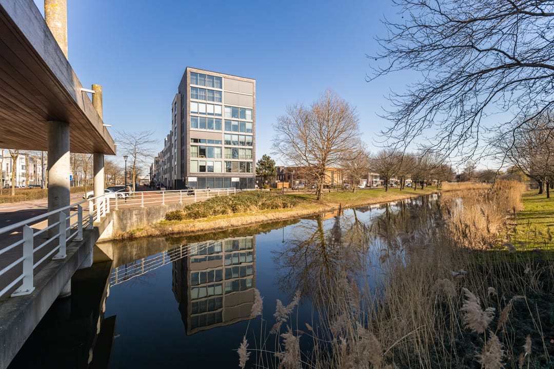 Foto 1 van Avenue Carnisse 157