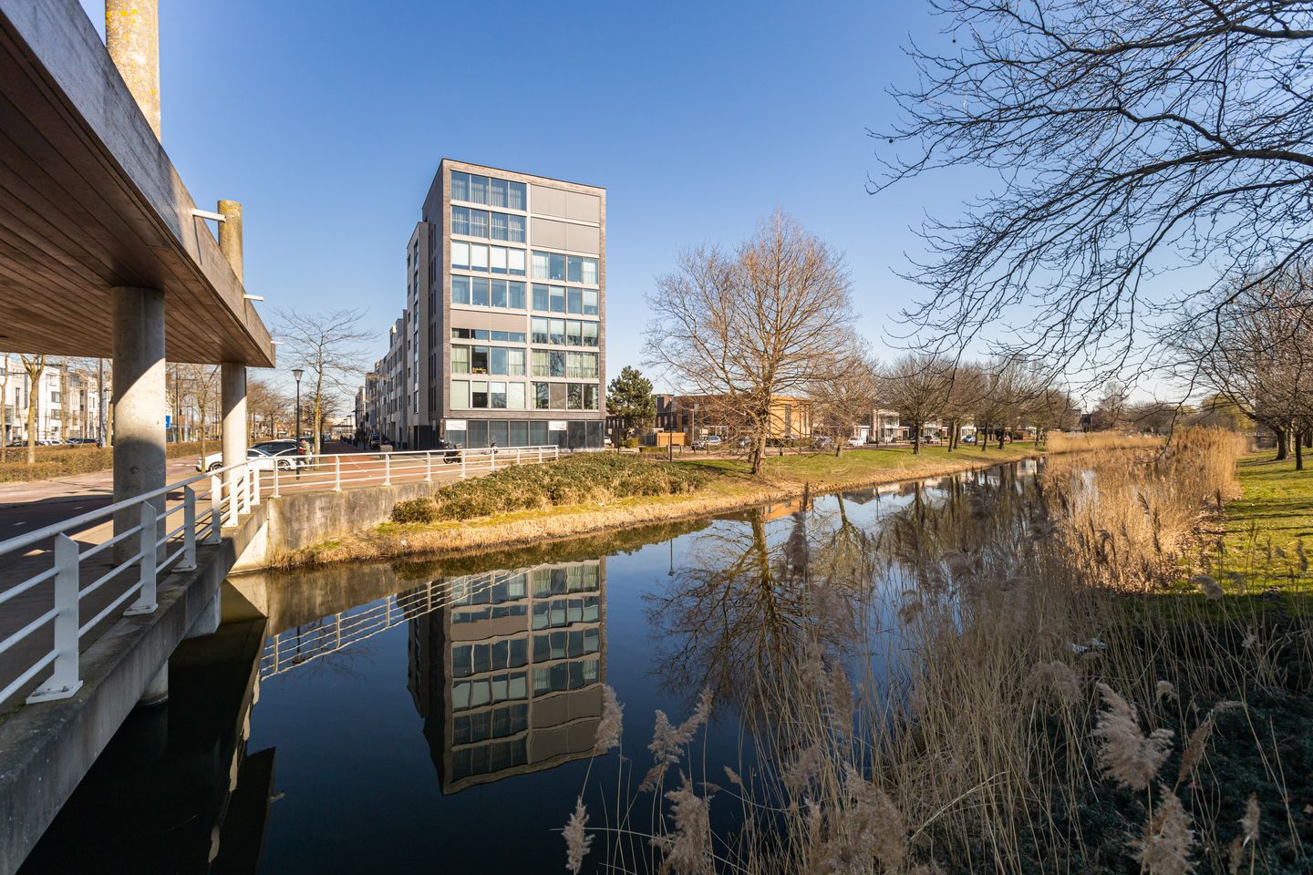 Foto 1 van Avenue Carnisse 157