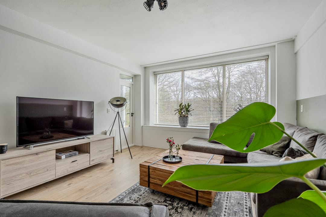 Foto 13 van Ellen 43