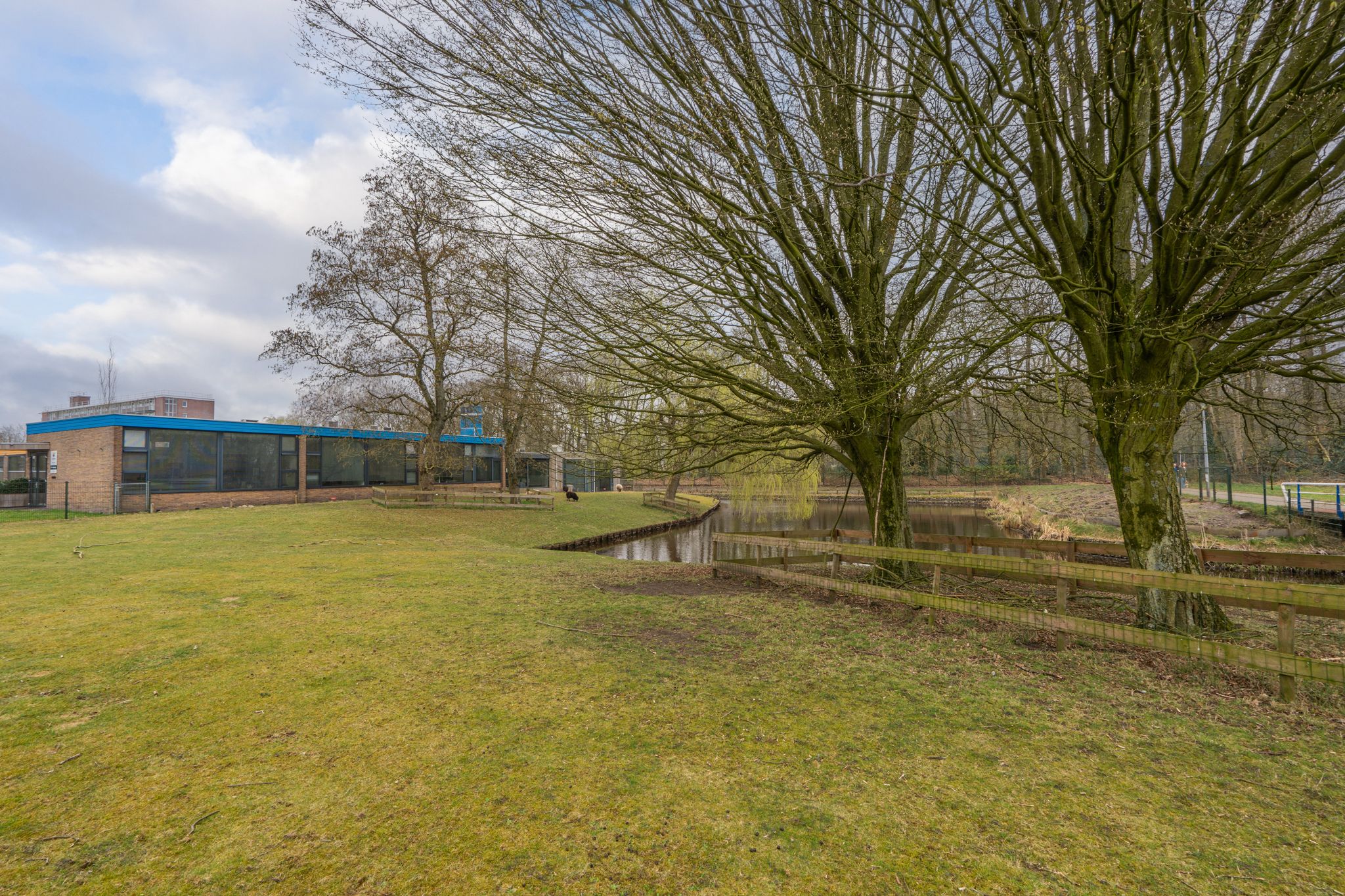 Foto 39 van Ellen 43