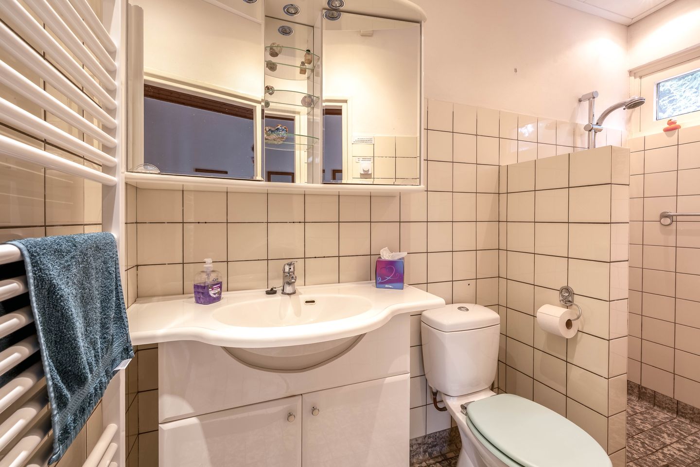 Foto 25 van De Schure 30