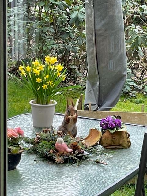 Foto 30 van De Schure 30