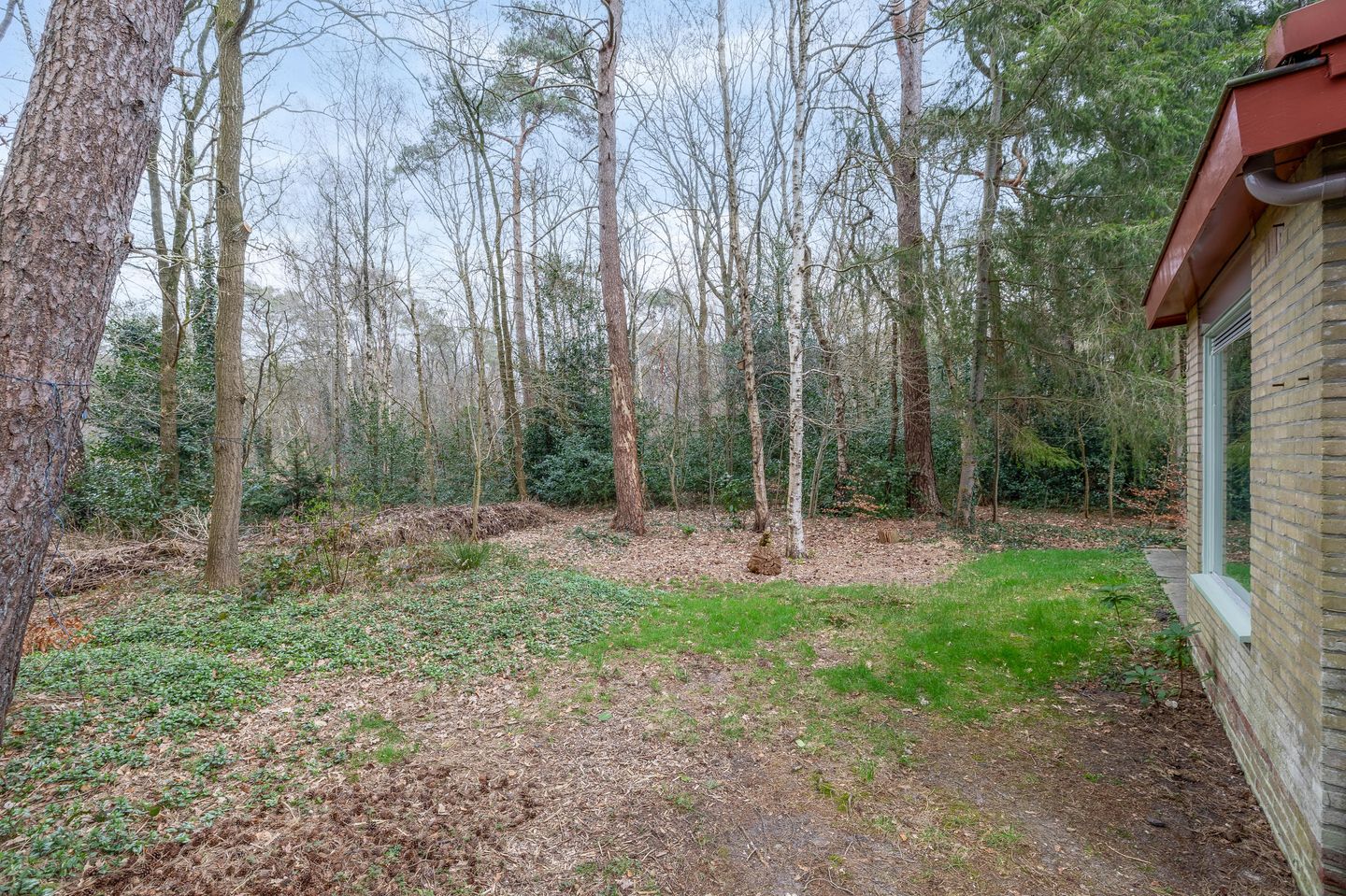 Foto 40 van De Schure 30