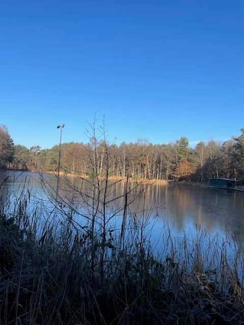 Foto 45 van De Schure 30