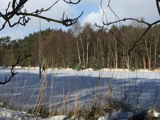 Foto 46 van De Schure 30