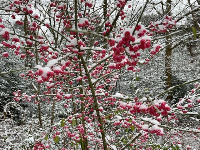 Foto 47 van De Schure 30