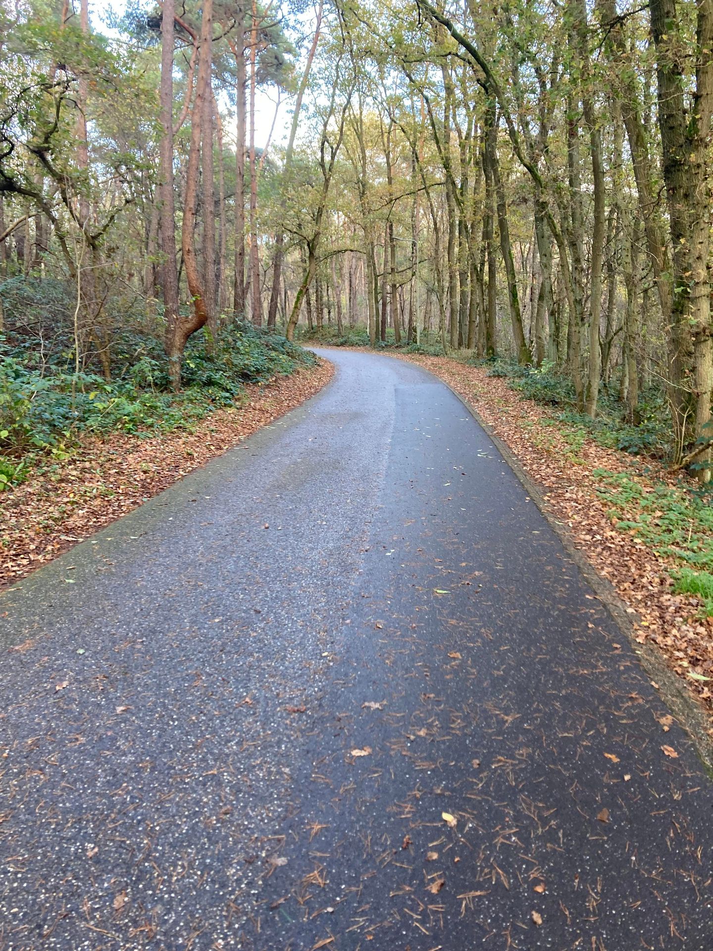 Maalbekerweg - Belfeld - Afbeelding 7