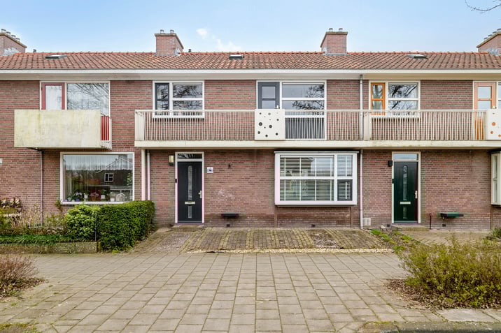 undefined main image