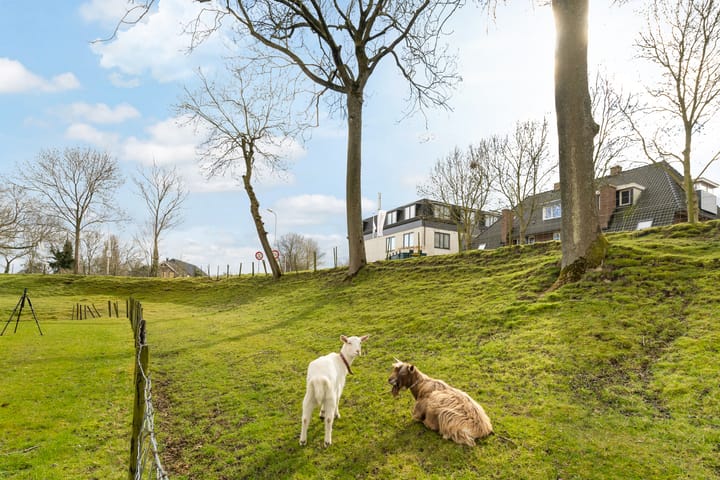 Foto 41 van De Esdoorn 30