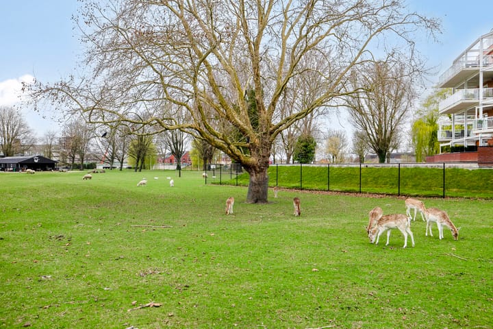 Foto 31 van Zeilmakerstraat 8