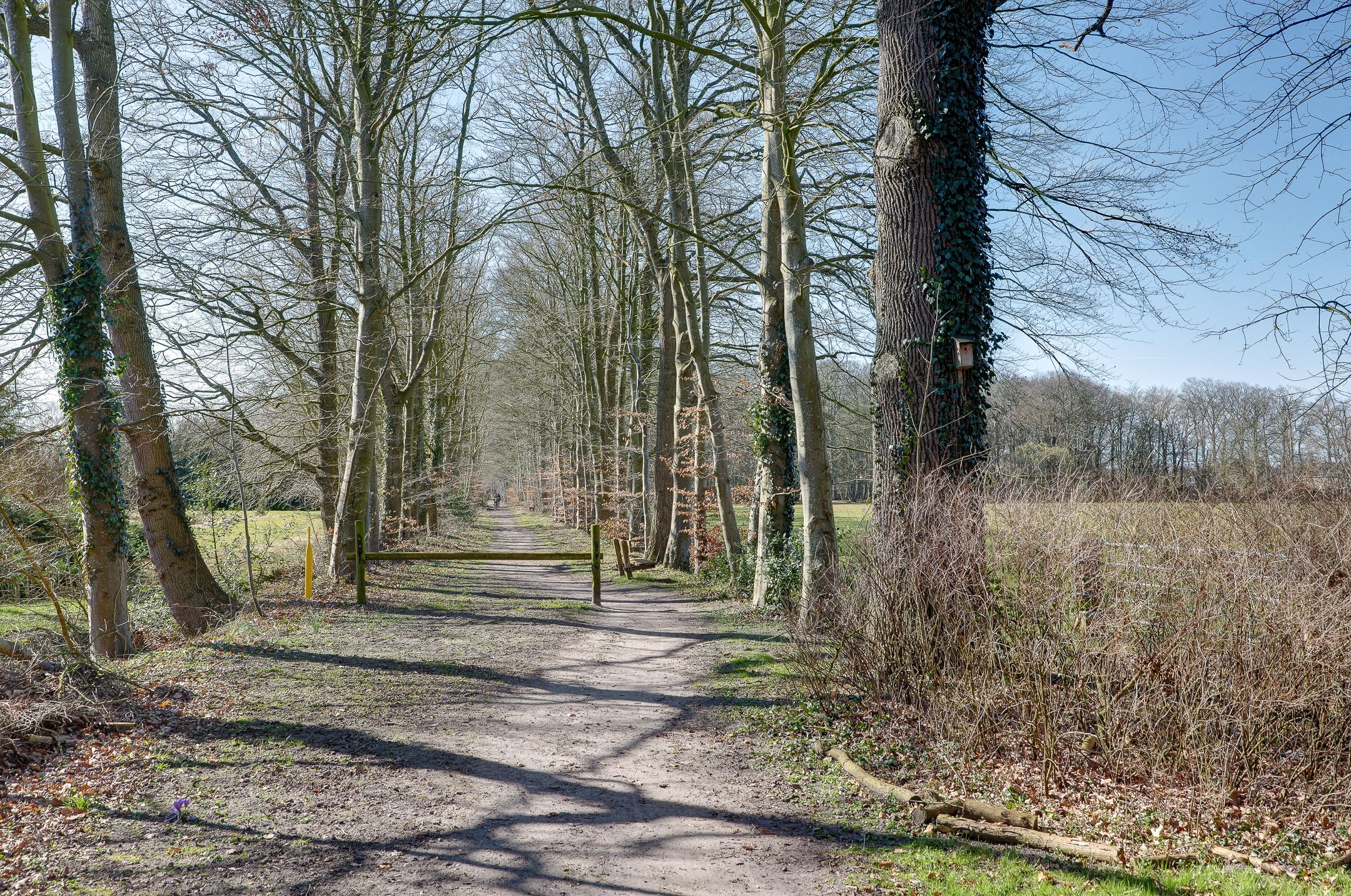 Photo 33 of Hoofdweg 414