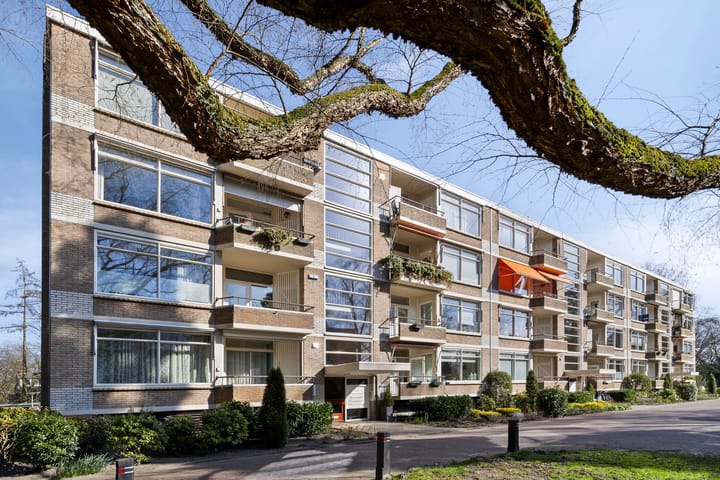 Foto 1 van Park de Kotten 210