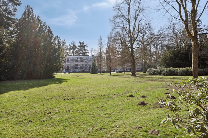 Foto 22 van Park de Kotten 210