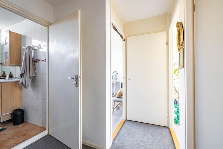 Foto 22 van Briljantstraat 213