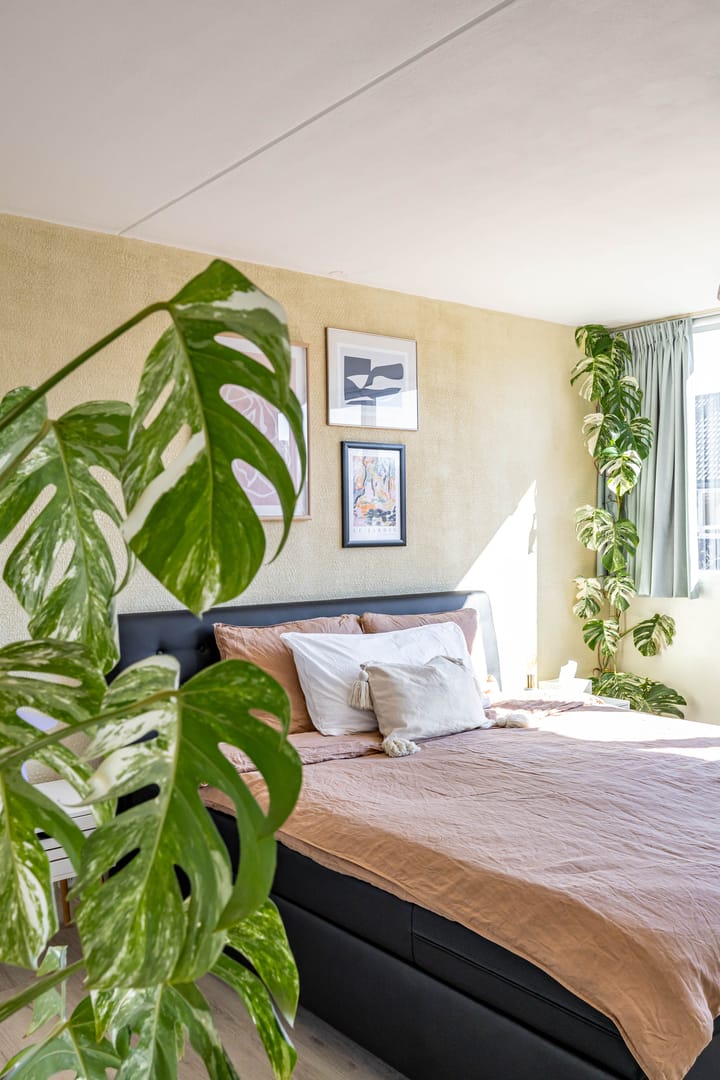 Foto 25 van Briljantstraat 213