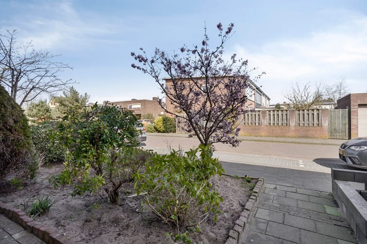 Foto 6 van Iepenstraat 51