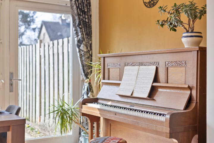 Foto 22 van Iepenstraat 51