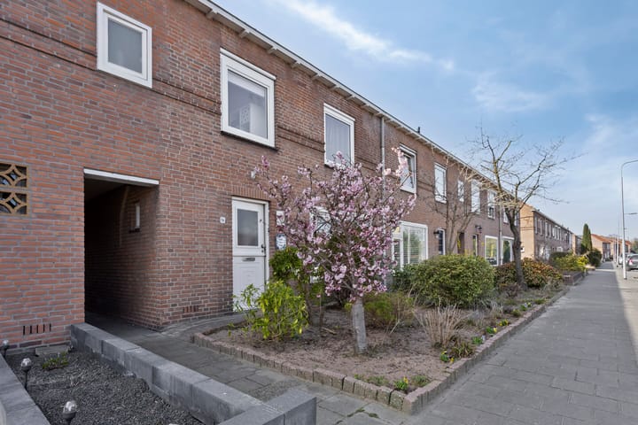 Foto 51 van Iepenstraat 51