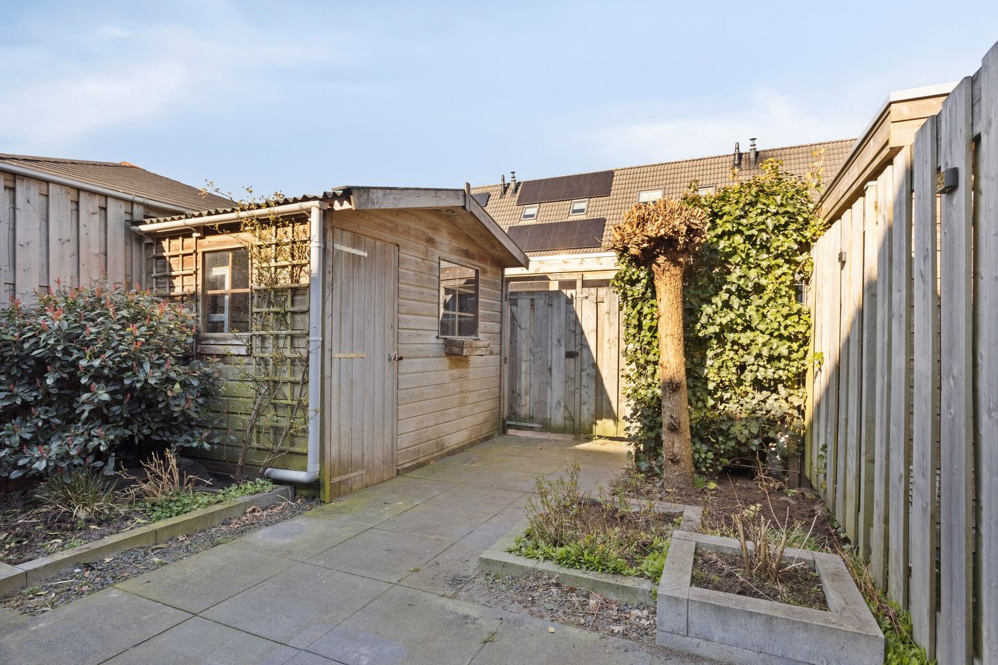 Foto 35 van Brederodelaan 60