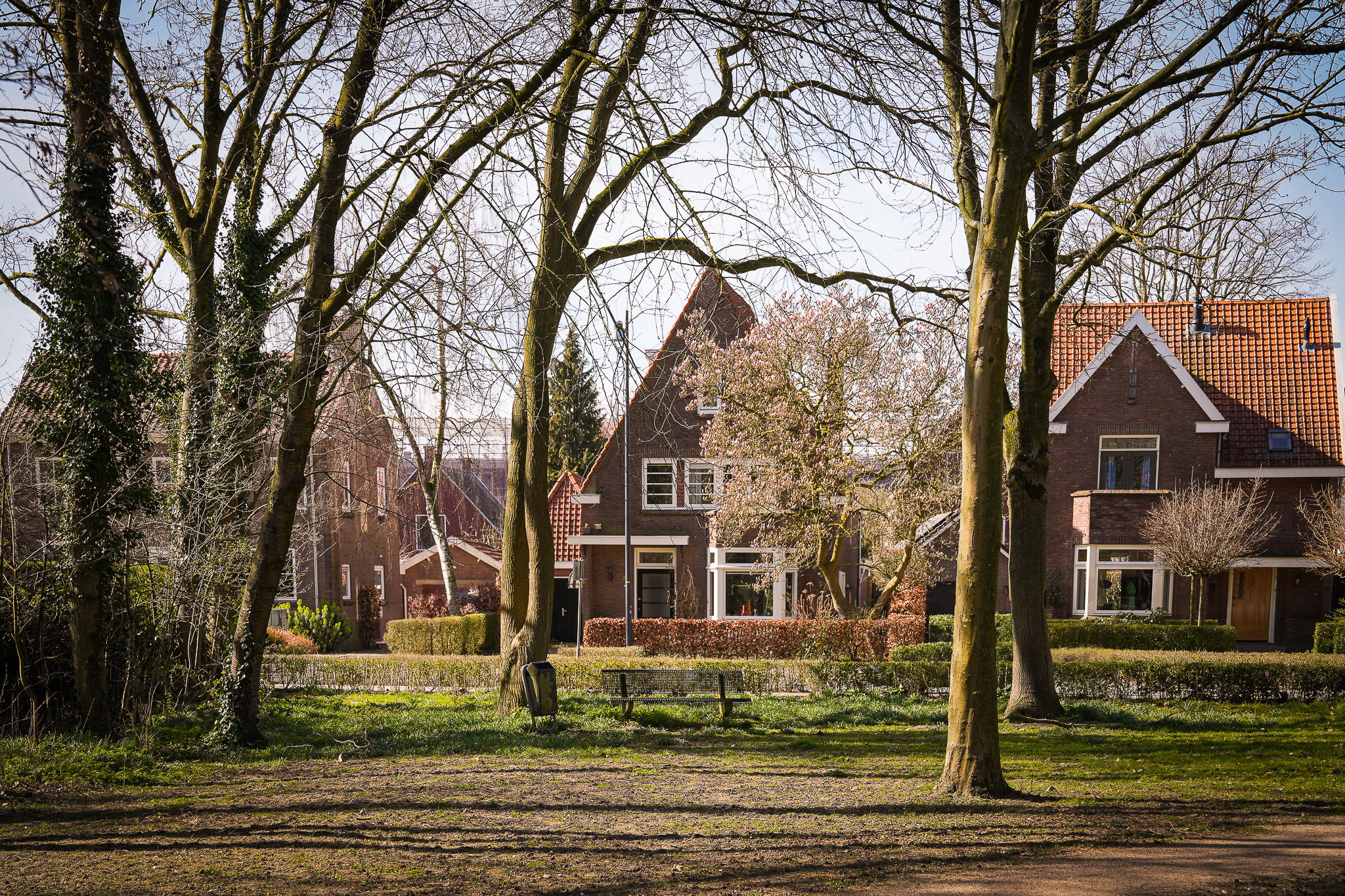 Foto 3 van Koningin Wilhelminaweg 26