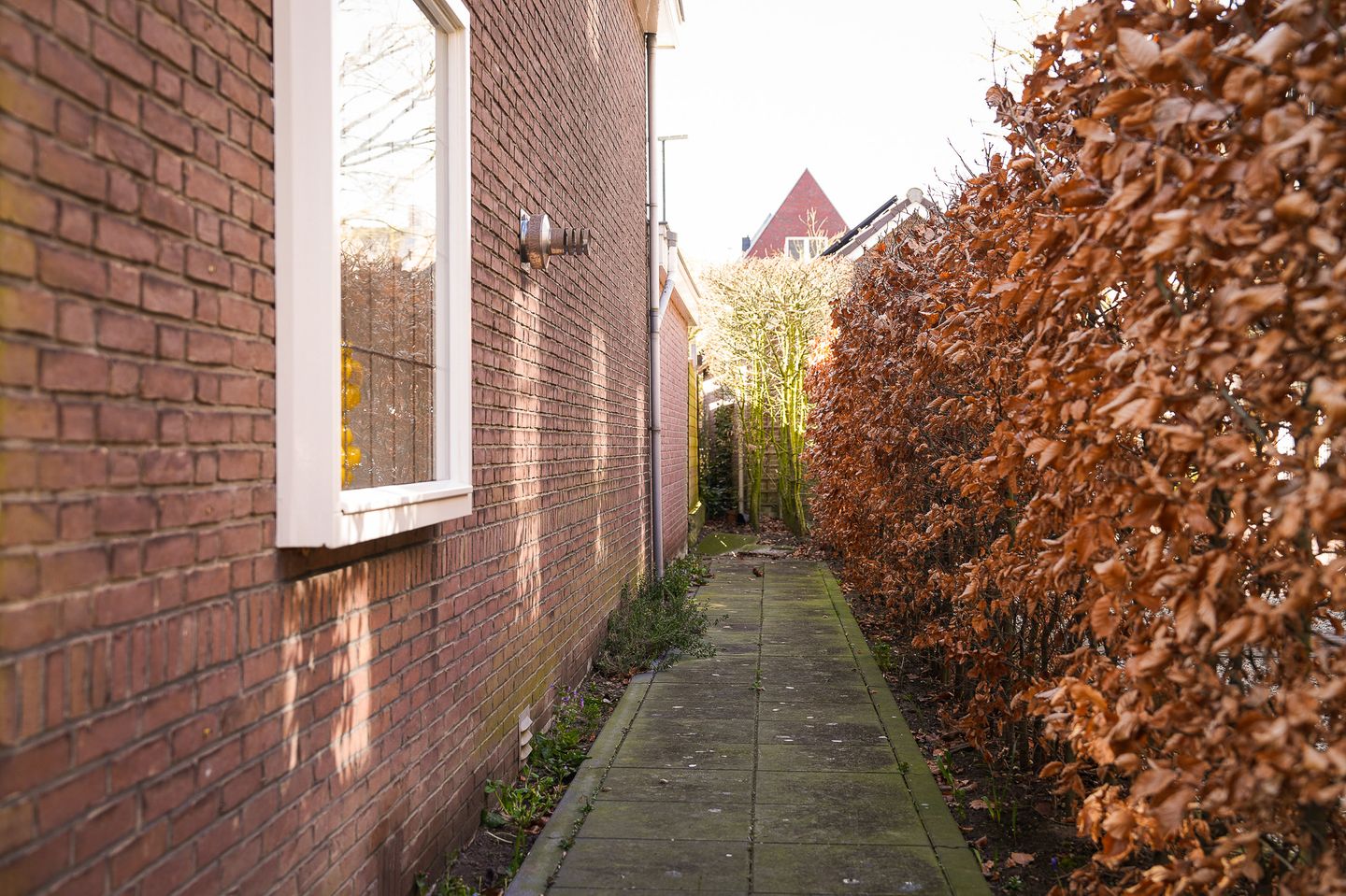 Foto 49 van Koningin Wilhelminaweg 26