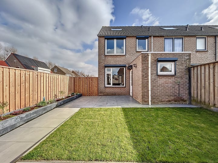 Foto 25 van Poolster 155-A