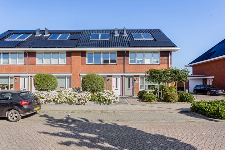 Foto 35 van Sneeuwgans 69