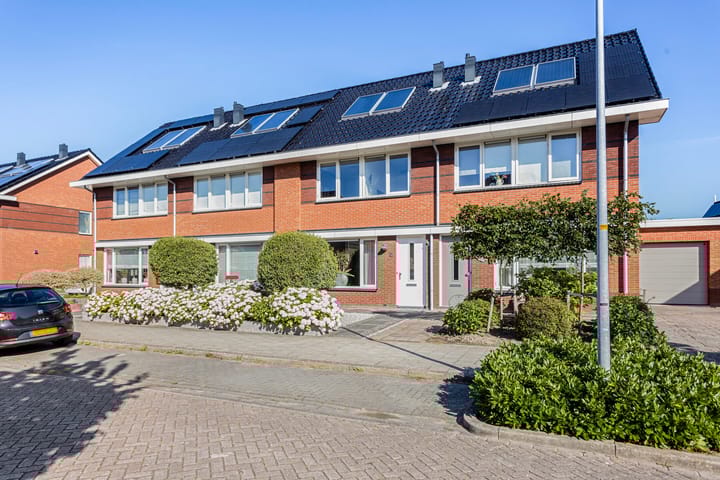 Foto 36 van Sneeuwgans 69