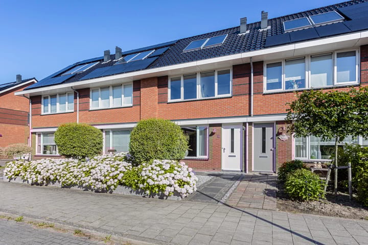 Foto 38 van Sneeuwgans 69