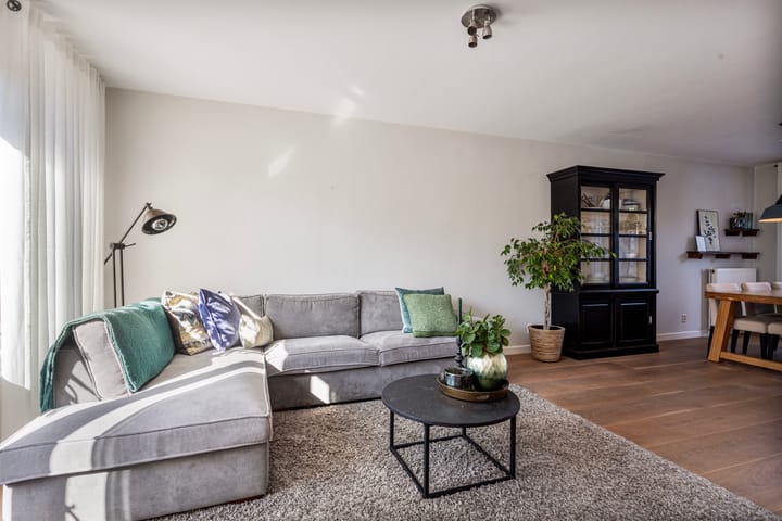 Foto 9 van Sneeuwgans 69