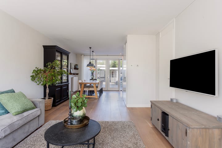 Foto 2 van Sneeuwgans 69