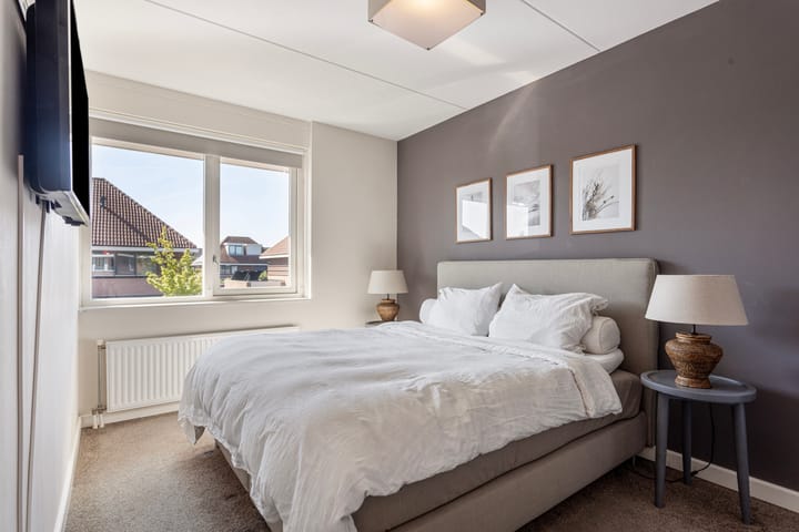 Foto 4 van Sneeuwgans 69