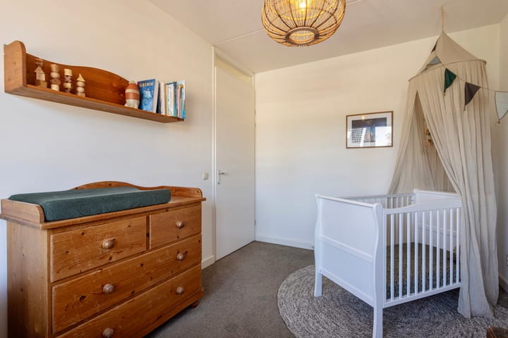 Foto 19 van Sneeuwgans 69