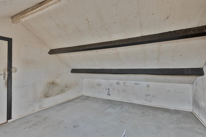 Foto 31 van Treublaan 1