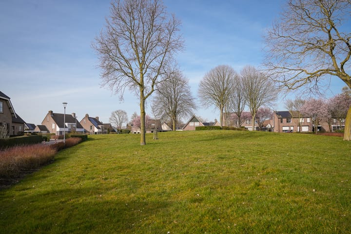 Foto 37 van De Haag 20