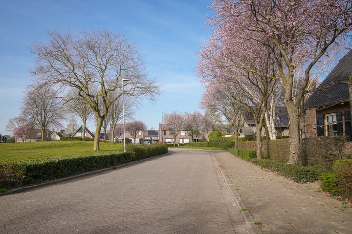 Foto 38 van De Haag 20