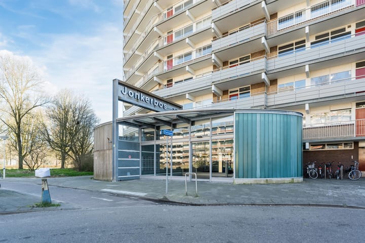 Foto 29 van Jonkerbos 8