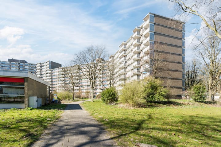 Foto 32 van Jonkerbos 8