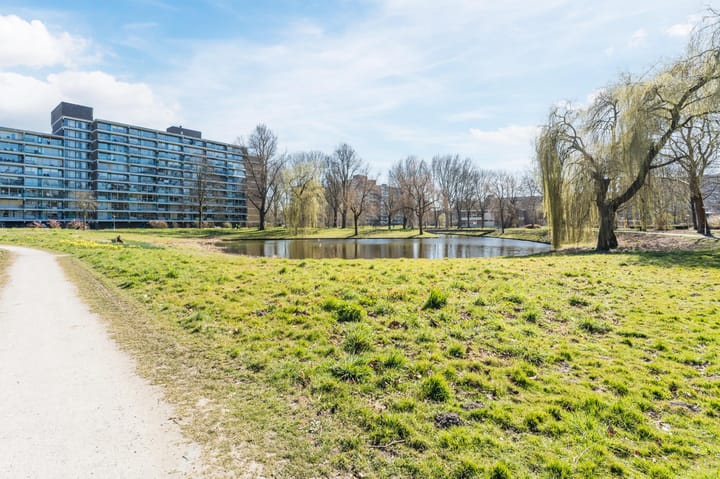 Foto 37 van Jonkerbos 8