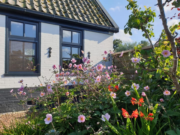 Foto 5 van Dijkweg 224