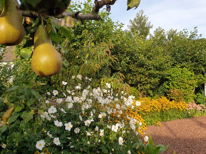 Foto 35 van Dijkweg 224