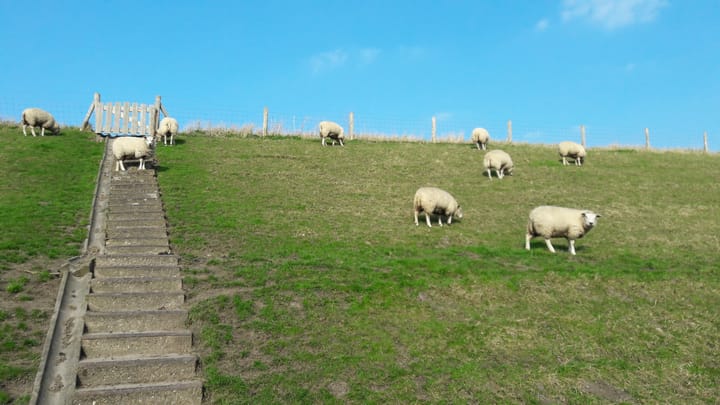 Foto 39 van Dijkweg 224