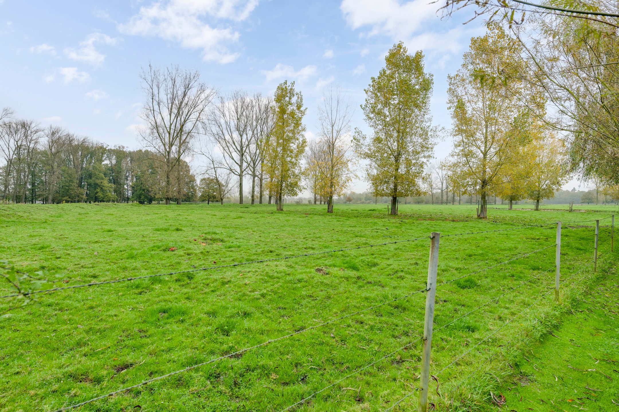 Foto 42 van Leropperweg 26