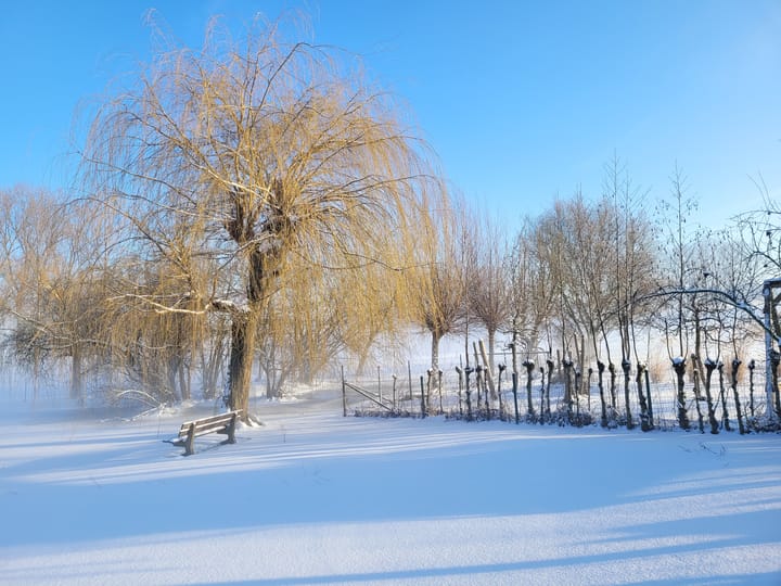 Foto 72 van Leropperweg 26