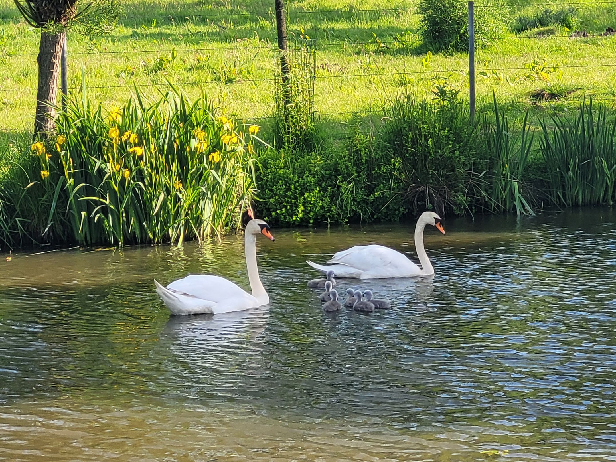 Foto 75 van Leropperweg 26